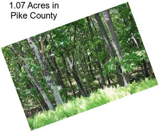 1.07 Acres in Pike County