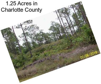 1.25 Acres in Charlotte County