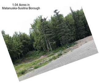 1.04 Acres in Matanuska-Susitna Borough