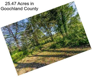 25.47 Acres in Goochland County