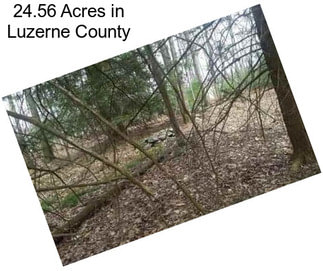 24.56 Acres in Luzerne County