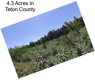 4.3 Acres in Teton County