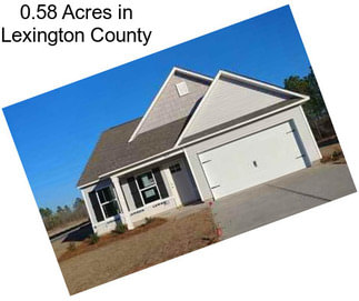 0.58 Acres in Lexington County