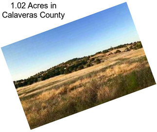 1.02 Acres in Calaveras County