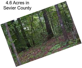 4.6 Acres in Sevier County