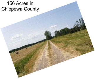 156 Acres in Chippewa County