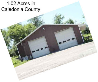 1.02 Acres in Caledonia County