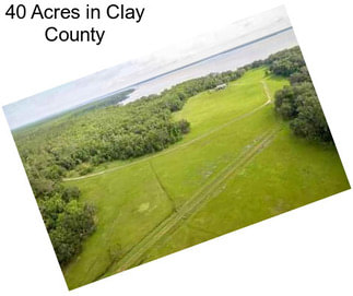 40 Acres in Clay County