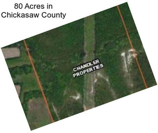 80 Acres in Chickasaw County