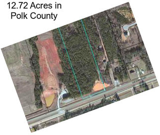 12.72 Acres in Polk County