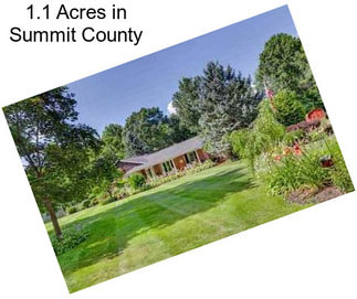 1.1 Acres in Summit County