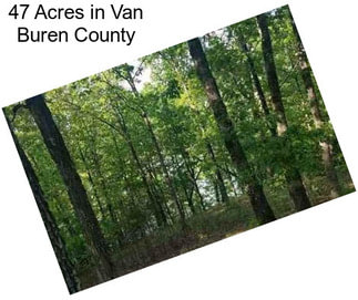 47 Acres in Van Buren County