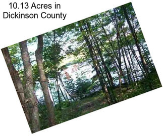 10.13 Acres in Dickinson County