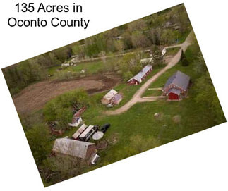 135 Acres in Oconto County