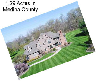 1.29 Acres in Medina County