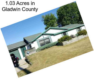 1.03 Acres in Gladwin County