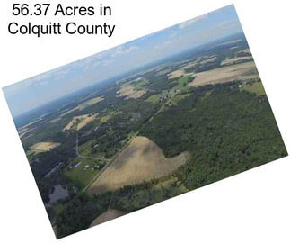 56.37 Acres in Colquitt County