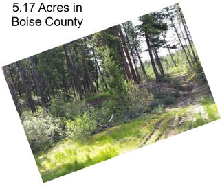 5.17 Acres in Boise County