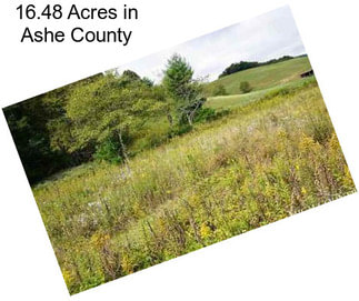 16.48 Acres in Ashe County