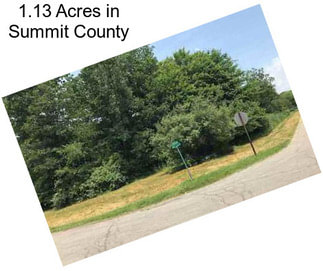 1.13 Acres in Summit County