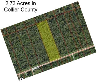 2.73 Acres in Collier County