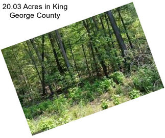 20.03 Acres in King George County