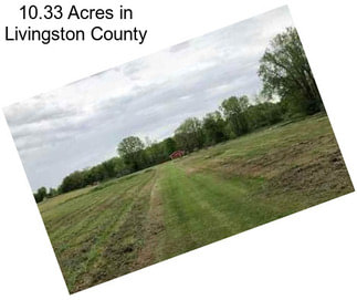 10.33 Acres in Livingston County