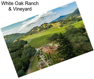 White Oak Ranch & Vineyard