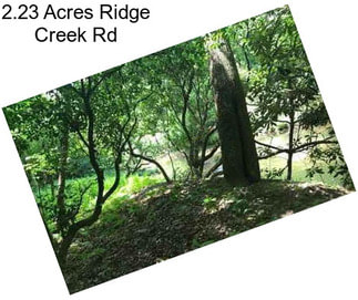 2.23 Acres Ridge Creek Rd