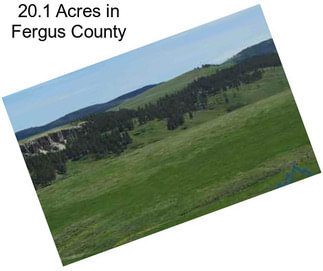 20.1 Acres in Fergus County