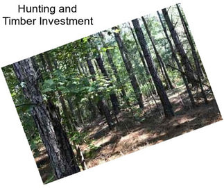 Hunting and Timber Investment