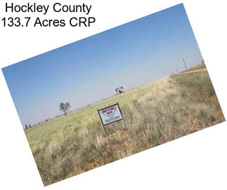 Hockley County 133.7 Acres CRP