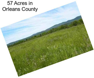 57 Acres in Orleans County