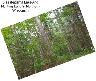 Sissabagama Lake And Hunting Land In Northern Wisconsin