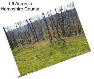 1.6 Acres in Hampshire County