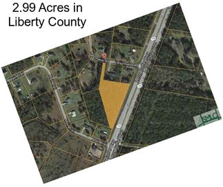 2.99 Acres in Liberty County