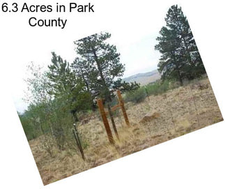 6.3 Acres in Park County