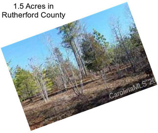 1.5 Acres in Rutherford County