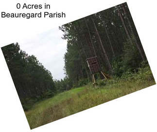 0 Acres in Beauregard Parish