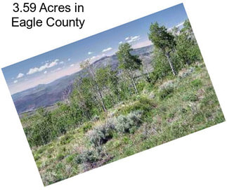 3.59 Acres in Eagle County