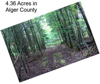 4.36 Acres in Alger County