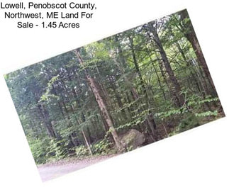 Lowell, Penobscot County, Northwest, ME Land For Sale - 1.45 Acres