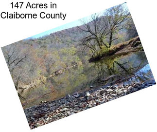 147 Acres in Claiborne County