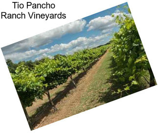 Tio Pancho Ranch Vineyards