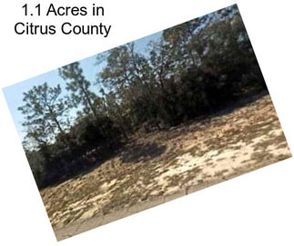 1.1 Acres in Citrus County