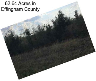 62.64 Acres in Effingham County