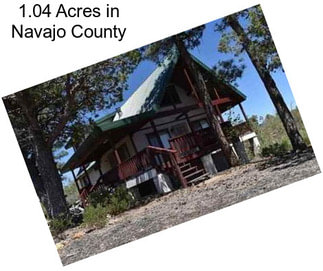 1.04 Acres in Navajo County