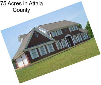 75 Acres in Attala County