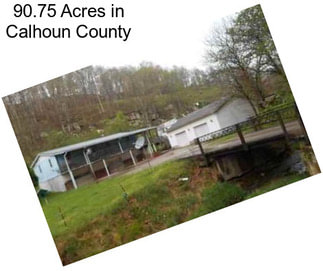 90.75 Acres in Calhoun County