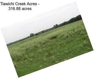 Tiawichi Creek Acres - 316.88 acres